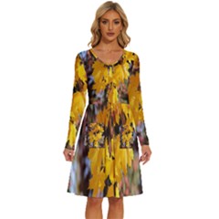 Amazing Arrowtown Autumn Leaves Long Sleeve Dress With Pocket by artworkshop