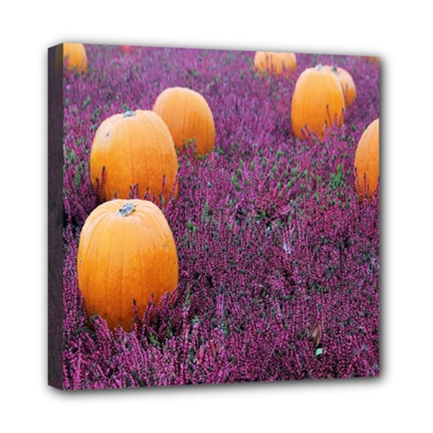  Autumn Decoration Autumn Flowers Autumn Plant Mini Canvas 8  X 8  (stretched) by artworkshop