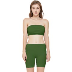 Forest Obsidian Stretch Shorts And Tube Top Set by HWDesign