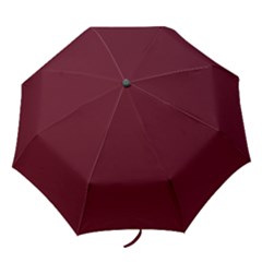 Burgundy Scarlet Folding Umbrellas by BohoMe