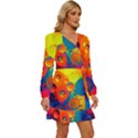 Colorfull pattern Long Sleeve Waist Tie Ruffle Velour Dress View3