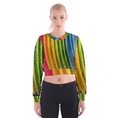  Colorful Illustrations Cropped Sweatshirt by artworkshop