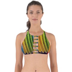  Colorful Illustrations Perfectly Cut Out Bikini Top by artworkshop