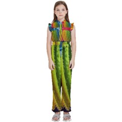  Colorful Illustrations Kids  Sleeveless Ruffle Edge Band Collar Chiffon One Piece by artworkshop