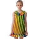  colorful illustrations Kids  Pilgrim Collar Ruffle Hem Dress View1