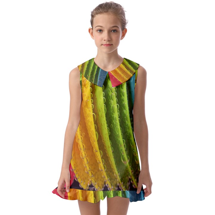  colorful illustrations Kids  Pilgrim Collar Ruffle Hem Dress