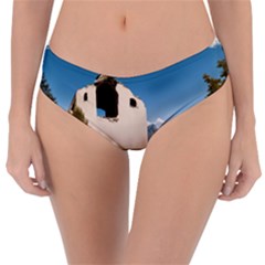  Us Ventag Eagles Travel Poster Graphic Style Redbleuwhite  Reversible Classic Bikini Bottoms by steakspro94