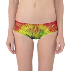 Colour Background Structure Lines Explosion Pop Classic Bikini Bottoms by Pakemis