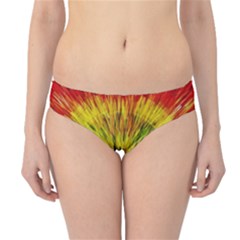 Colour Background Structure Lines Explosion Pop Hipster Bikini Bottoms by Pakemis