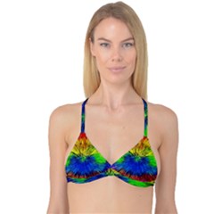 Colour Background Structure Lines Explosion Pop Reversible Tri Bikini Top by Pakemis