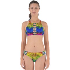 Colour Background Structure Lines Explosion Pop Perfectly Cut Out Bikini Set by Pakemis