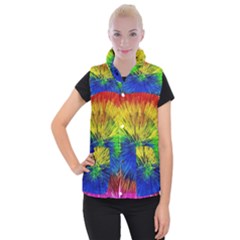 Colour Background Structure Lines Explosion Pop Women s Button Up Vest by Pakemis