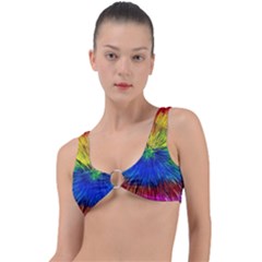 Colour Background Structure Lines Explosion Pop Ring Detail Bikini Top by Pakemis