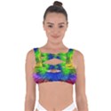 Colour Background Structure Lines Explosion Pop Bandaged Up Bikini Top View1