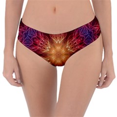 Fractal Abstract Artistic Reversible Classic Bikini Bottoms by Ravend