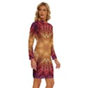 Fractal Abstract Artistic Long Sleeve Shirt Collar Bodycon Dress View3