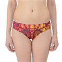 Abstract Art Pattern Fractal Design Hipster Bikini Bottoms View1