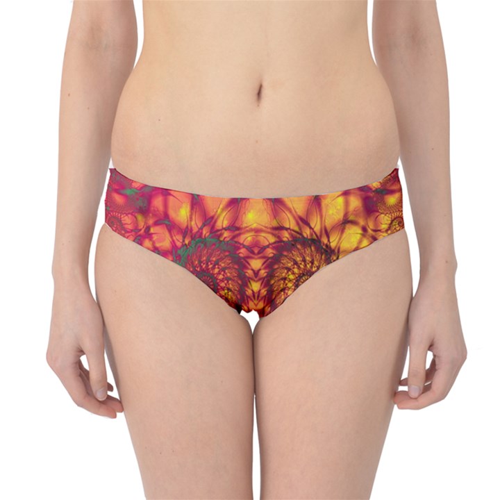 Abstract Art Pattern Fractal Design Hipster Bikini Bottoms