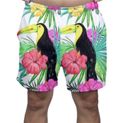 Sheets Tropical Nature Green Plant Men s Shorts