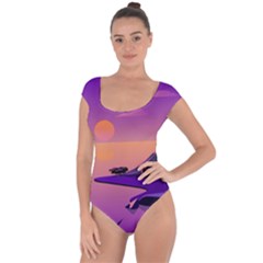 Sunset Sea Ocean Purple Pink Flowers Stone Short Sleeve Leotard 