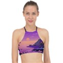 Sunset Sea Ocean Purple Pink Flowers Stone Racer Front Bikini Top View1