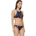 Bears Colors Dead Head Deadhead Grateful Dead Banded Triangle Bikini Set View3