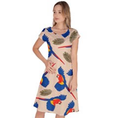 Bird Animals Parrot Pattern Classic Short Sleeve Dress by Ravend