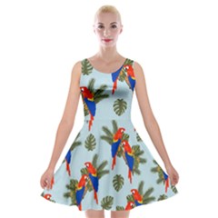 Birds Animals Nature Background Velvet Skater Dress by Ravend