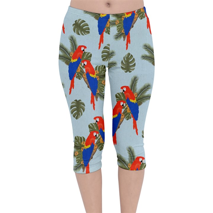 Birds Animals Nature Background Velvet Capri Leggings 