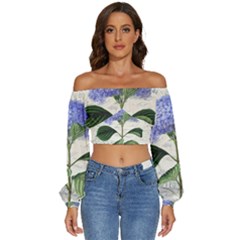 Blue Hydrangea Flower Painting Vintage Shabby Chic Dragonflies Long Sleeve Crinkled Weave Crop Top