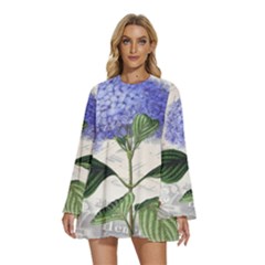 Blue Hydrangea Flower Painting Vintage Shabby Chic Dragonflies Round Neck Long Sleeve Bohemian Style Chiffon Mini Dress