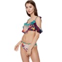 Asia Japan Pagoda Colorful Vintage Ruffle Edge Tie Up Bikini Set	 View2