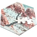 Color Snow Mountain Pretty Wooden Puzzle Hexagon View2