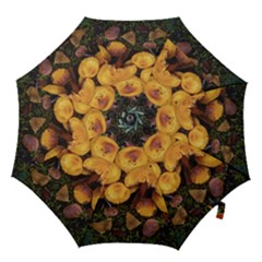 Orange Mushrooms In Patagonia Forest, Ushuaia, Argentina Hook Handle Umbrellas (large) by dflcprintsclothing