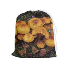 Orange Mushrooms In Patagonia Forest, Ushuaia, Argentina Drawstring Pouch (xl) by dflcprintsclothing