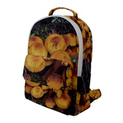 Orange Mushrooms In Patagonia Forest, Ushuaia, Argentina Flap Pocket Backpack (large) by dflcprintsclothing