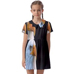 Bird Kids  Asymmetric Collar Dress by artworkshop