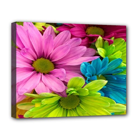 Flowers Wallpaper Deluxe Canvas 20  X 16  (stretched) by artworkshop