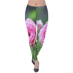 Flowers Velvet Leggings