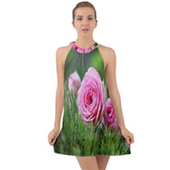 Flowers Halter Tie Back Chiffon Dress by artworkshop