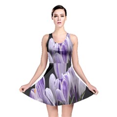 Crocus Flowers Purple Flowers Spring Nature Reversible Skater Dress by Ravend