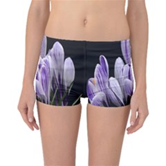 Crocus Flowers Purple Flowers Spring Nature Boyleg Bikini Bottoms by Ravend