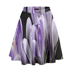 Crocus Flowers Purple Flowers Spring Nature High Waist Skirt by Ravend