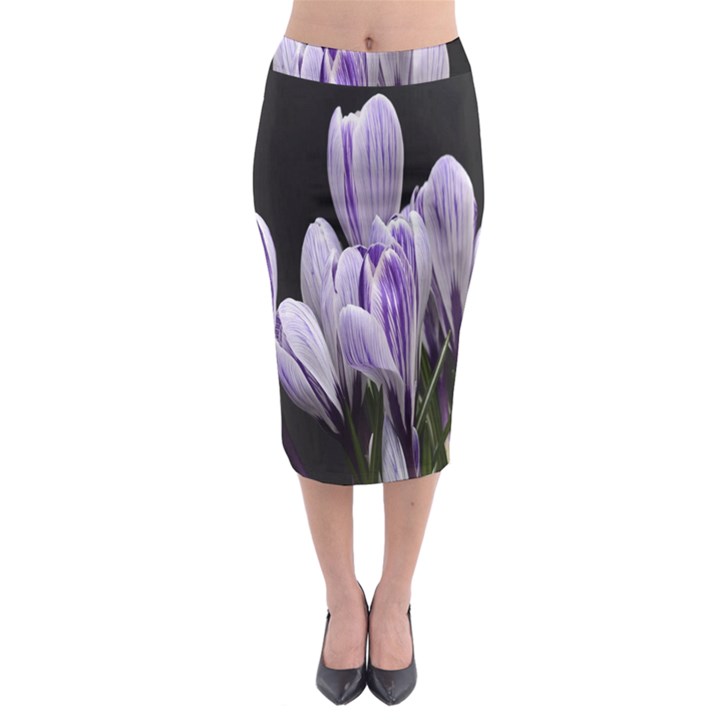 Crocus Flowers Purple Flowers Spring Nature Midi Pencil Skirt