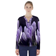 Crocus Flowers Purple Flowers Spring Nature V-neck Long Sleeve Top by Ravend