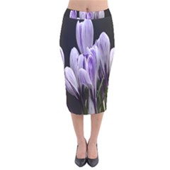 Crocus Flowers Purple Flowers Spring Nature Velvet Midi Pencil Skirt by Ravend