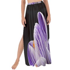 Crocus Flowers Purple Flowers Spring Nature Maxi Chiffon Tie-up Sarong by Ravend