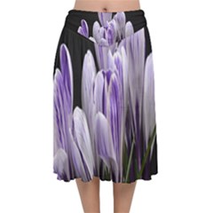 Crocus Flowers Purple Flowers Spring Nature Velvet Flared Midi Skirt by Ravend