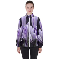 Crocus Flowers Purple Flowers Spring Nature Women s High Neck Windbreaker by Ravend