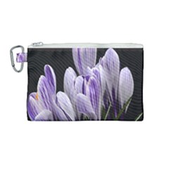 Crocus Flowers Purple Flowers Spring Nature Canvas Cosmetic Bag (medium) by Ravend